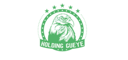 Holding Gueye